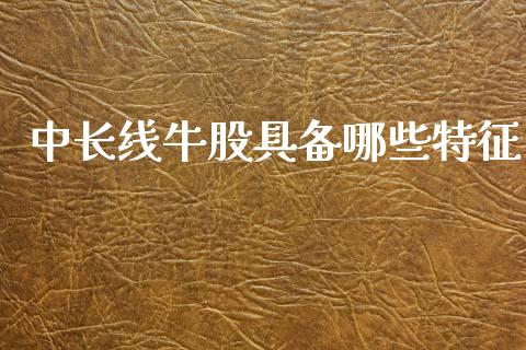 中长线牛股具备哪些特征_https://m.qdlswl.com_恒指德指直播室_第1张