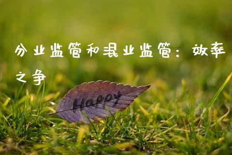 分业监管和混业监管：效率之争_https://m.qdlswl.com_恒指在线直播间_第1张