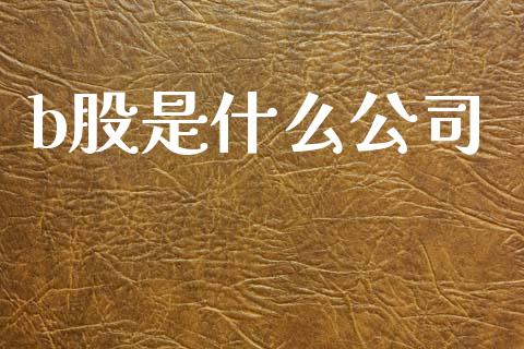 b股是什么公司_https://m.qdlswl.com_纳指直播_第1张