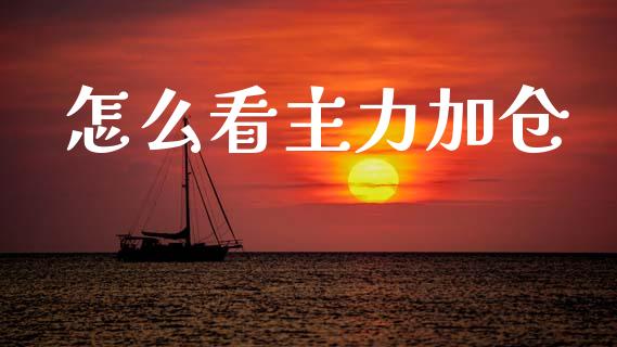 怎么看主力加仓_https://m.qdlswl.com_纳指直播_第1张