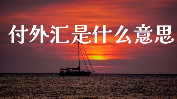 付外汇是什么意思_https://m.qdlswl.com_恒指德指直播室_第1张