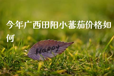 今年广西田阳小蕃茄价格如何_https://m.qdlswl.com_恒指在线直播间_第1张
