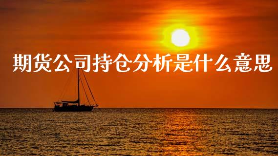期货公司持仓分析是什么意思_https://m.qdlswl.com_恒指在线直播间_第1张