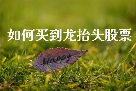如何买到龙抬头股票_https://m.qdlswl.com_恒生指数直播喊单_第1张