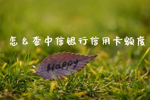 怎么查中信银行信用卡额度_https://m.qdlswl.com_恒指德指直播室_第1张