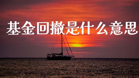 基金回撤是什么意思_https://m.qdlswl.com_纳指直播_第1张