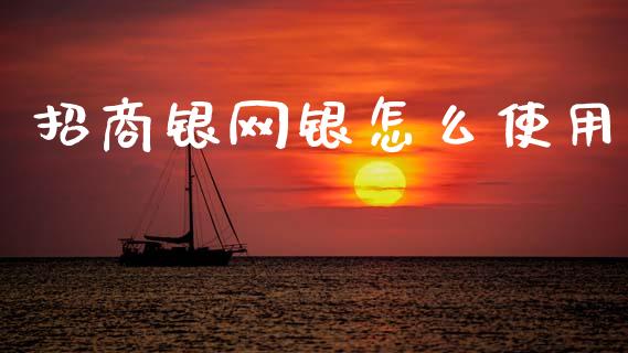 招商银网银怎么使用_https://m.qdlswl.com_恒生指数直播喊单_第1张