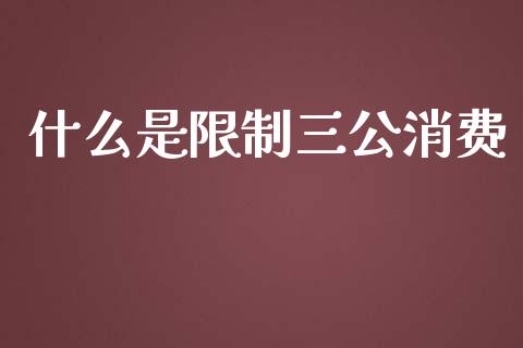什么是限制三公消费_https://m.qdlswl.com_恒指德指直播室_第1张
