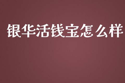 银华活钱宝怎么样_https://m.qdlswl.com_恒指德指直播室_第1张