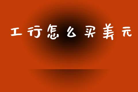 工行怎么买美元_https://m.qdlswl.com_恒生指数直播喊单_第1张
