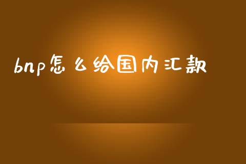 bnp怎么给国内汇款_https://m.qdlswl.com_恒指德指直播室_第1张