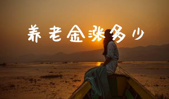 养老金涨多少_https://m.qdlswl.com_恒指在线直播间_第1张