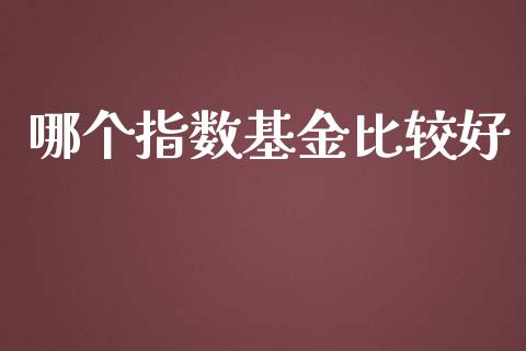 哪个指数基金比较好_https://m.qdlswl.com_纳指直播_第1张