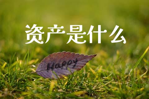 资产是什么_https://m.qdlswl.com_恒指在线直播间_第1张