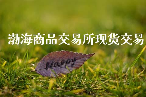 渤海商品交易所现货交易_https://m.qdlswl.com_恒指在线直播间_第1张