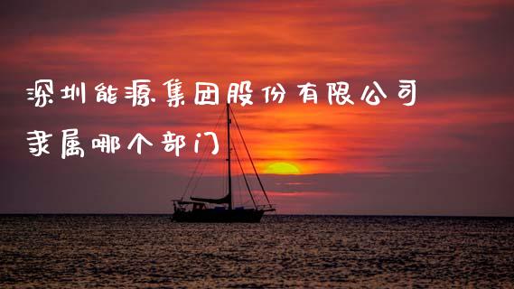 深圳能源集团股份有限公司隶属哪个部门_https://m.qdlswl.com_恒指在线直播间_第1张