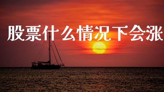 股票什么情况下会涨_https://m.qdlswl.com_恒指德指直播室_第1张