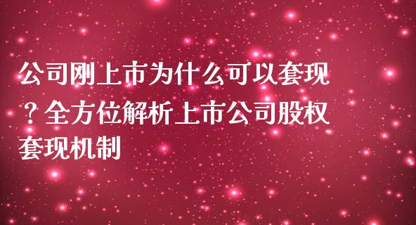 公司刚上市为什么可以套现？全方位解析上市公司股权套现机制_https://m.qdlswl.com_恒生指数直播喊单_第1张