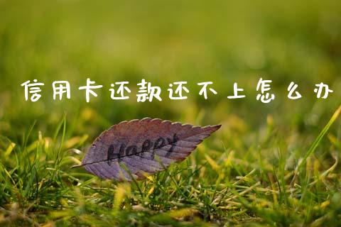 信用卡还款还不上怎么办_https://m.qdlswl.com_恒指在线直播间_第1张