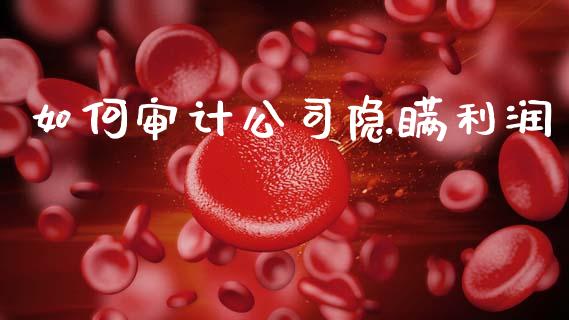 如何审计公司隐瞒利润_https://m.qdlswl.com_恒指在线直播间_第1张