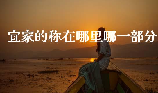 宜家的称在哪里哪一部分_https://m.qdlswl.com_纳指直播_第1张