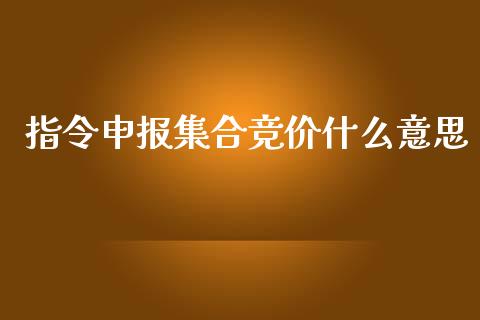 指令申报集合竞价什么意思_https://m.qdlswl.com_恒指在线直播间_第1张