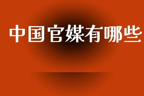 中国官媒有哪些_https://m.qdlswl.com_纳指直播_第1张