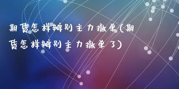 期货怎样辨别主力撤单(期货怎样辨别主力撤单了)_https://m.qdlswl.com_恒生指数直播喊单_第1张