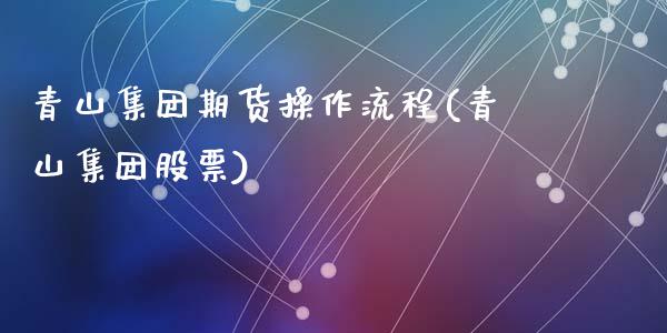 青山集团期货操作流程(青山集团股票)_https://m.qdlswl.com_恒生指数直播喊单_第1张