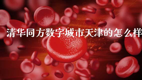 清华同方数字城市天津的怎么样_https://m.qdlswl.com_恒指在线直播间_第1张