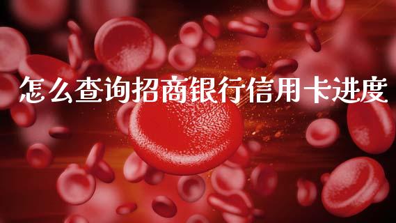 怎么查询招商银行信用卡进度_https://m.qdlswl.com_恒生指数直播喊单_第1张
