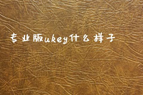 专业版ukey什么样子_https://m.qdlswl.com_恒指在线直播间_第1张