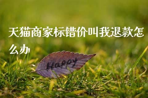 天猫商家标错价叫我退款怎么办_https://m.qdlswl.com_纳指直播_第1张