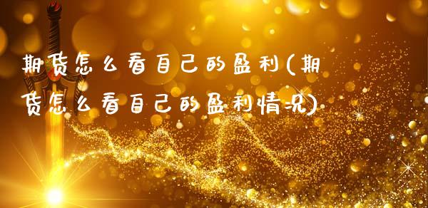 期货怎么看自己的盈利(期货怎么看自己的盈利情况)_https://m.qdlswl.com_恒指德指直播室_第1张