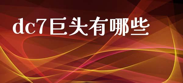 dc7巨头有哪些_https://m.qdlswl.com_纳指直播_第1张