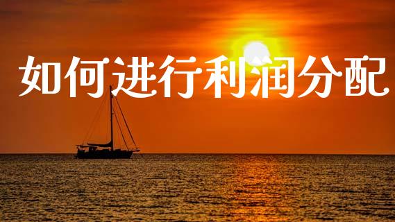 如何进行利润分配_https://m.qdlswl.com_恒指在线直播间_第1张