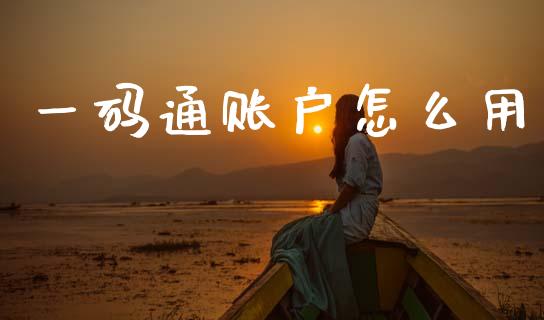 一码通账户怎么用_https://m.qdlswl.com_纳指直播_第1张