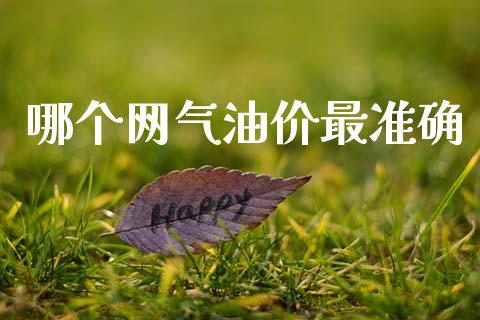 哪个网气油价最准确_https://m.qdlswl.com_恒指在线直播间_第1张