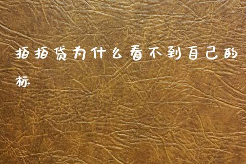 拍拍贷为什么看不到自己的标_https://m.qdlswl.com_恒生指数直播喊单_第1张
