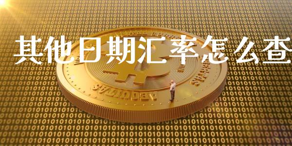 其他日期汇率怎么查_https://m.qdlswl.com_纳指直播_第1张