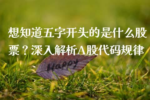 想知道五字开头的是什么股票？深入解析A股代码规律_https://m.qdlswl.com_恒指在线直播间_第1张