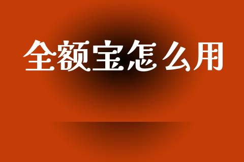 全额宝怎么用_https://m.qdlswl.com_恒指德指直播室_第1张