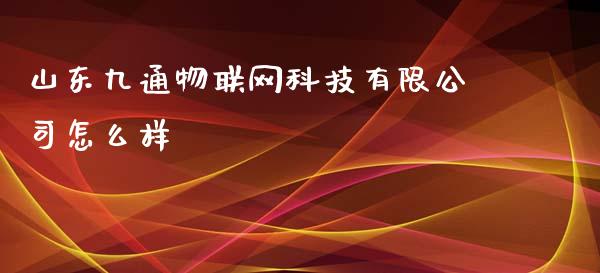 山东九通物联网科技有限公司怎么样_https://m.qdlswl.com_恒生指数直播喊单_第1张