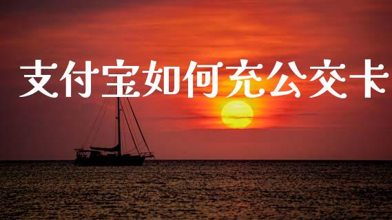 支付宝如何充公交卡_https://m.qdlswl.com_恒指德指直播室_第1张