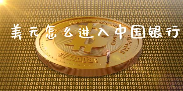 美元怎么进入中国银行_https://m.qdlswl.com_恒指德指直播室_第1张