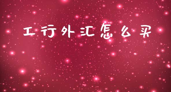工行外汇怎么买_https://m.qdlswl.com_恒生指数直播喊单_第1张