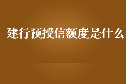 建行预授信额度是什么_https://m.qdlswl.com_恒指在线直播间_第1张