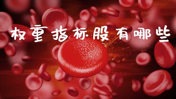 权重指标股有哪些_https://m.qdlswl.com_恒指德指直播室_第1张