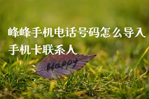 峰峰手机电话号码怎么导入手机卡联系人_https://m.qdlswl.com_恒指德指直播室_第1张