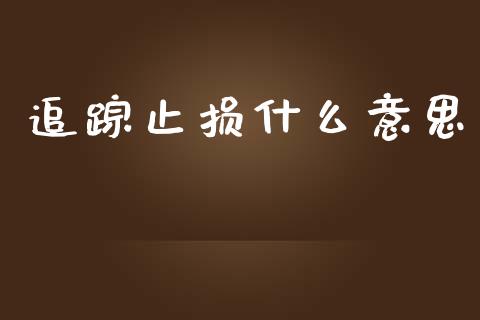 追踪止损什么意思_https://m.qdlswl.com_恒指德指直播室_第1张